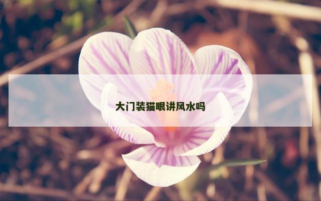 大门装猫眼讲风水吗