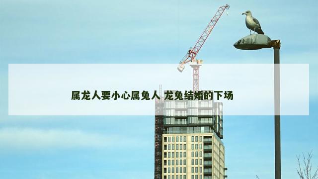 属龙人要小心属兔人 龙兔结婚的下场 　　