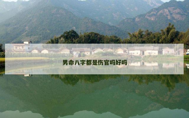 男命八字都是伤官吗好吗