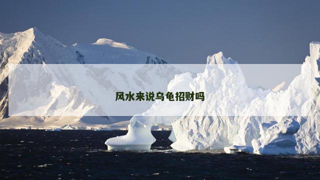 风水来说乌龟招财吗