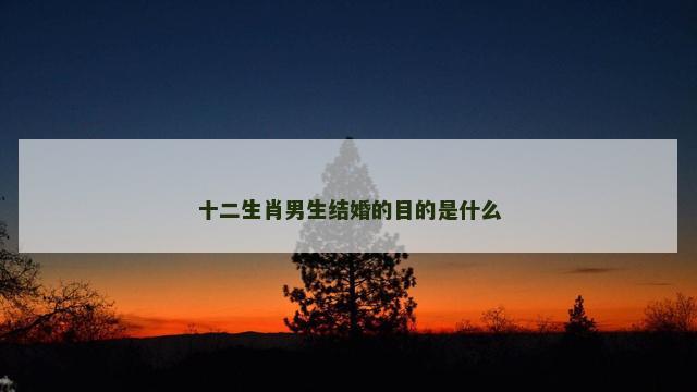十二生肖男生结婚的目的是什么