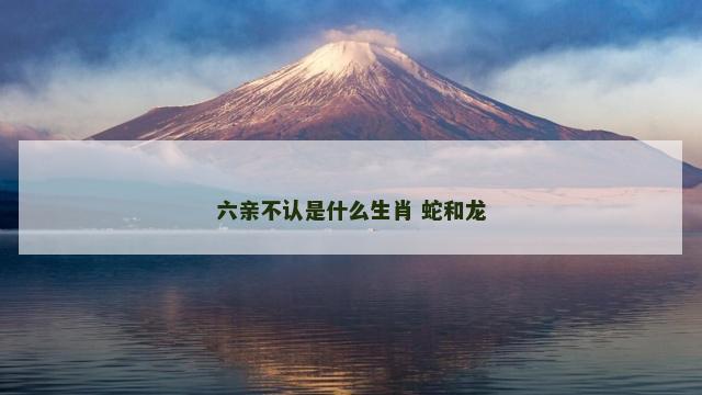 六亲不认是什么生肖 蛇和龙