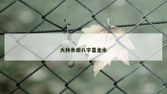 大林木命八字喜金水