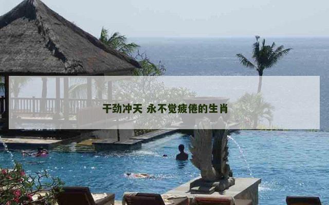 干劲冲天 永不觉疲倦的生肖