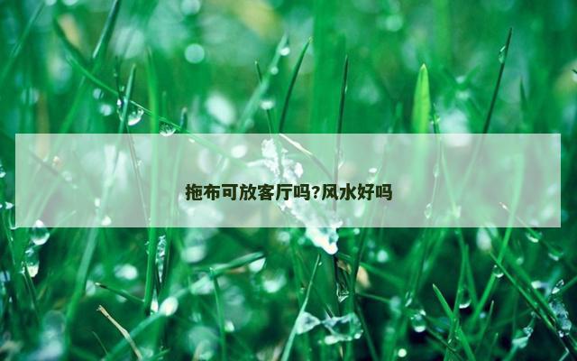 拖布可放客厅吗?风水好吗
