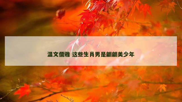 温文儒雅 这些生肖男是翩翩美少年