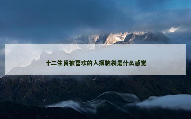 十二生肖被喜欢的人摸脑袋是什么感觉