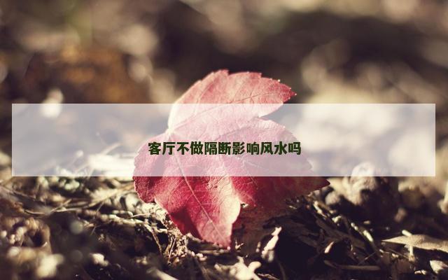 客厅不做隔断影响风水吗