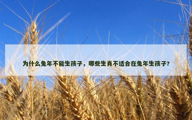 为什么兔年不能生孩子，哪些生肖不适合在兔年生孩子?