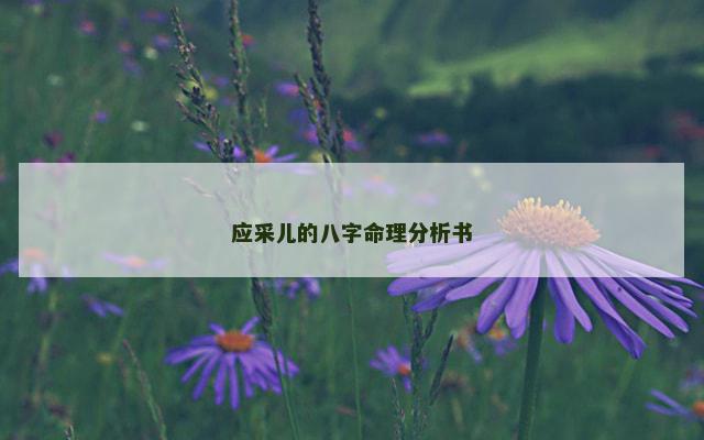 应采儿的八字命理分析书
