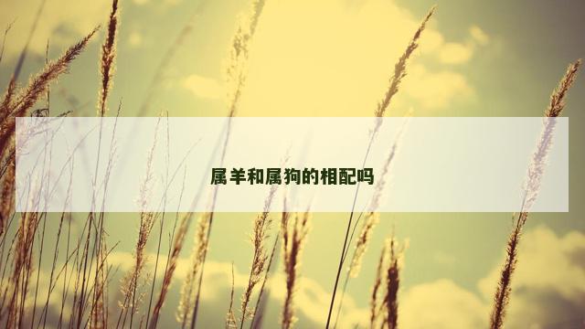 属羊和属狗的相配吗