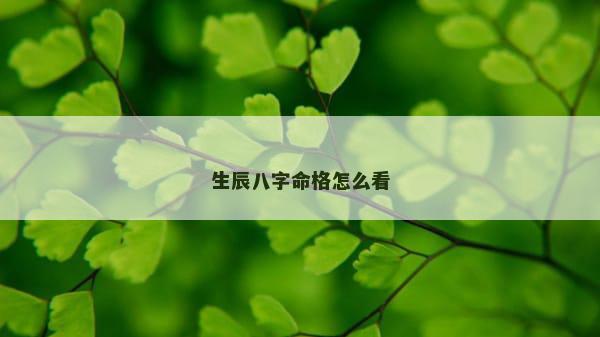 生辰八字命格怎么看