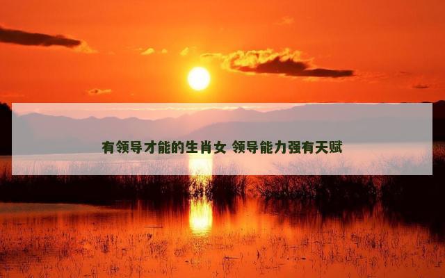 有领导才能的生肖女 领导能力强有天赋