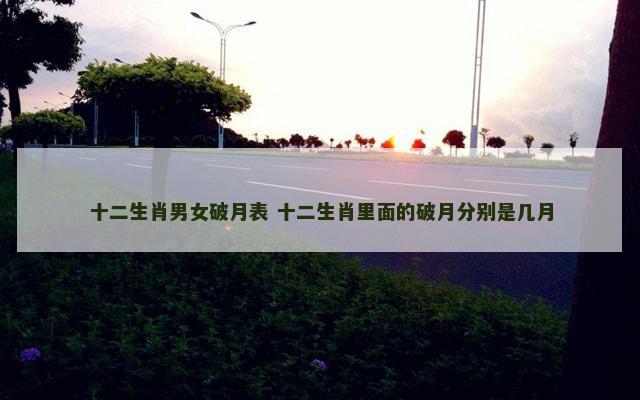 十二生肖男女破月表 十二生肖里面的破月分别是几月