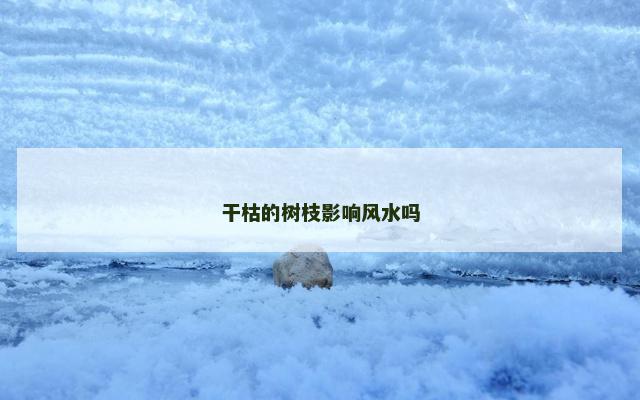 干枯的树枝影响风水吗