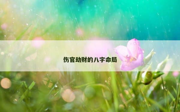 伤官劫财的八字命局