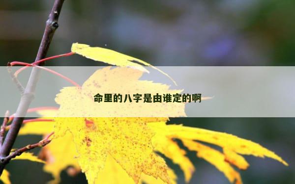 命里的八字是由谁定的啊