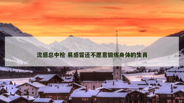 流感总中枪 易感冒还不愿意锻炼身体的生肖