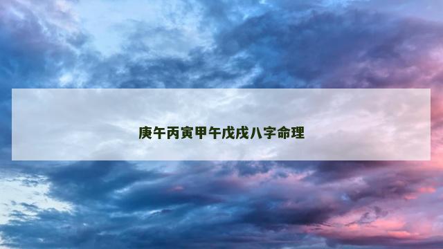 庚午丙寅甲午戊戌八字命理