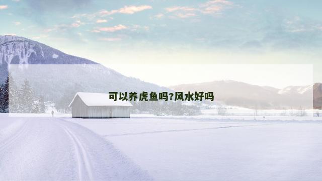可以养虎鱼吗?风水好吗
