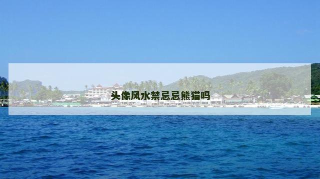 头像风水禁忌忌熊猫吗
