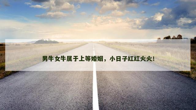 男牛女牛属于上等婚姻，小日子红红火火！