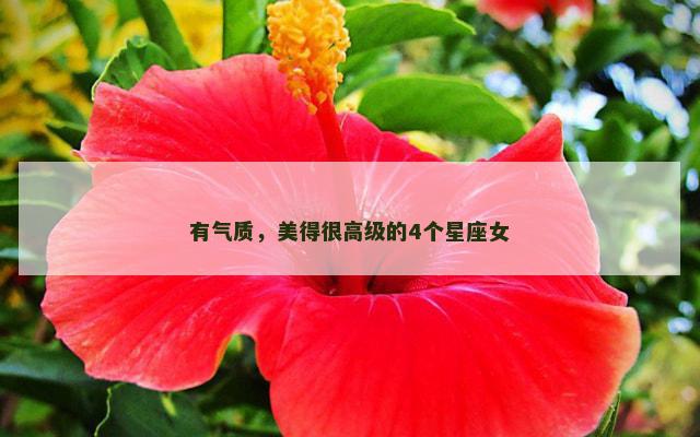 有气质，美得很高级的4个星座女