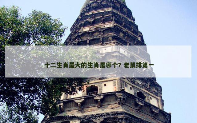 十二生肖最大的生肖是哪个? 老鼠排第一