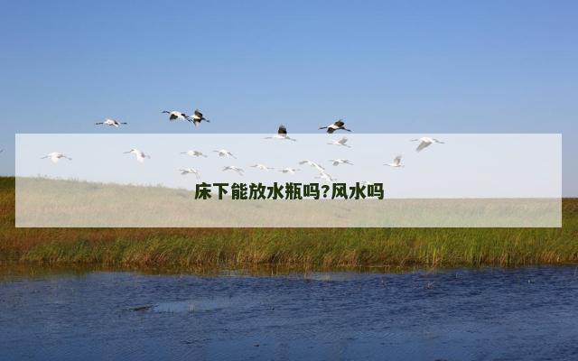 床下能放水瓶吗?风水吗