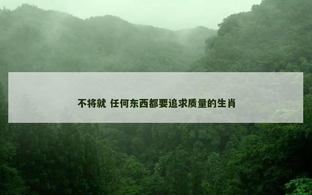 不将就 任何东西都要追求质量的生肖