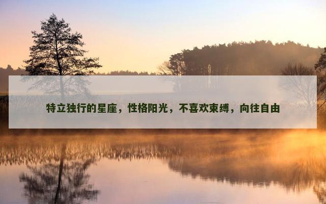 特立独行的星座，性格阳光，不喜欢束缚，向往自由