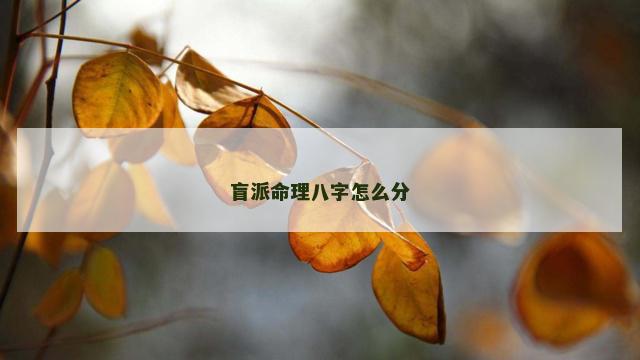 盲派命理八字怎么分