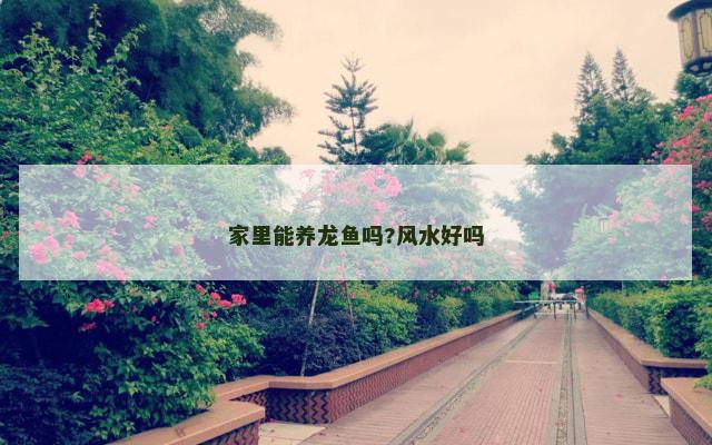 家里能养龙鱼吗?风水好吗