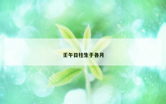 壬午日柱生于各月
