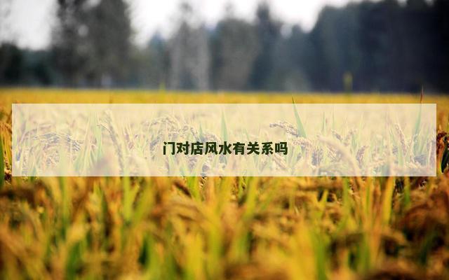 门对店风水有关系吗