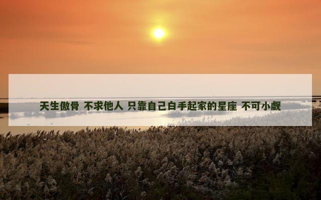 天生傲骨 不求他人 只靠自己白手起家的星座 不可小觑