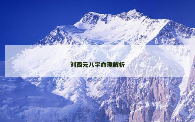 刘西元八字命理解析