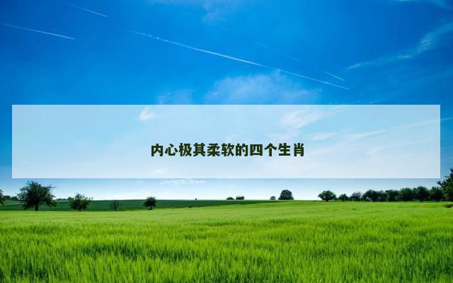 内心极其柔软的四个生肖