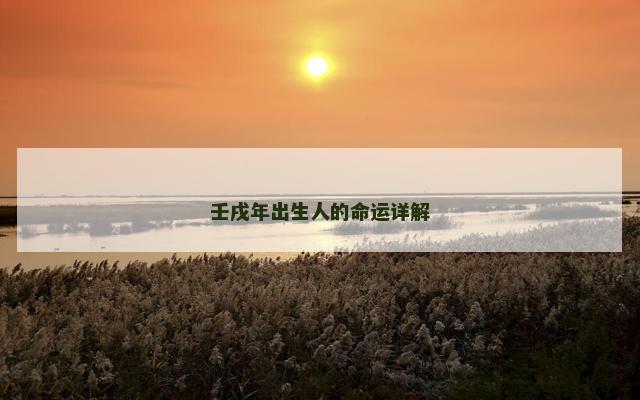 壬戌年出生人的命运详解
