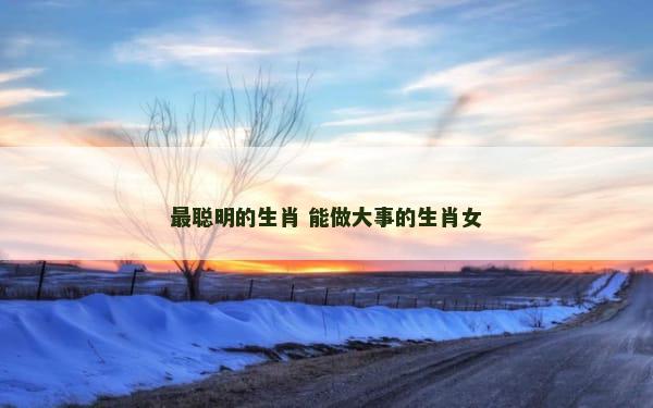 最聪明的生肖 能做大事的生肖女