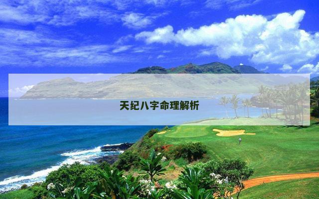 天纪八字命理解析