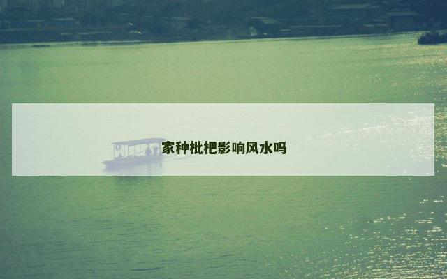 家种枇杷影响风水吗