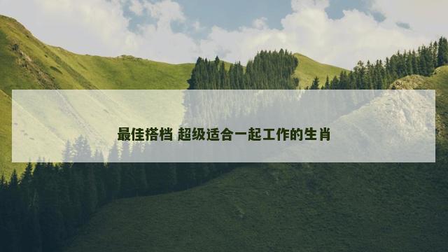 最佳搭档 超级适合一起工作的生肖