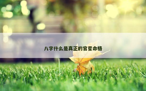 八字什么是真正的官星命格