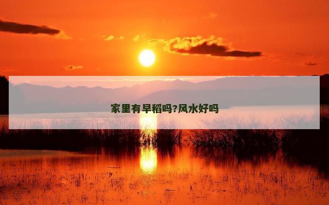 家里有早稻吗?风水好吗