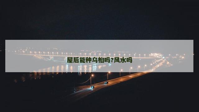 屋后能种乌桕吗?风水吗