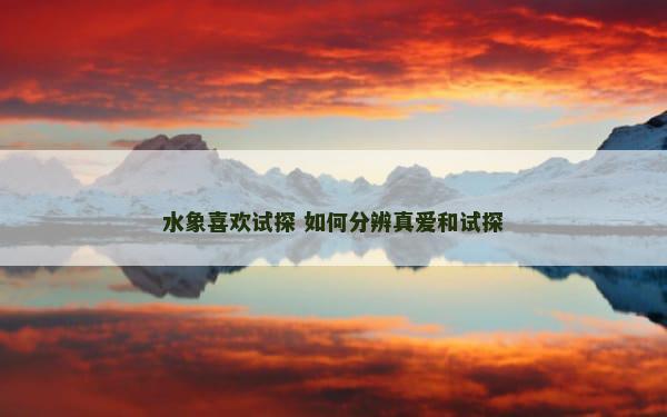 水象喜欢试探 如何分辨真爱和试探