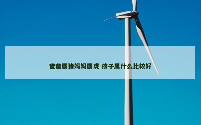 爸爸属猪妈妈属虎 孩子属什么比较好