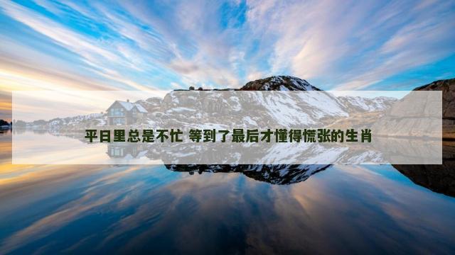 平日里总是不忙 等到了最后才懂得慌张的生肖