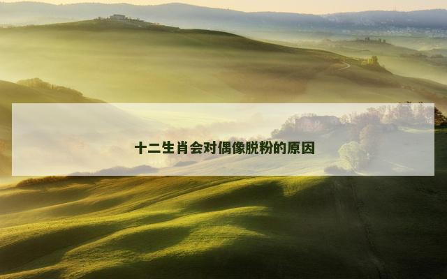 十二生肖会对偶像脱粉的原因